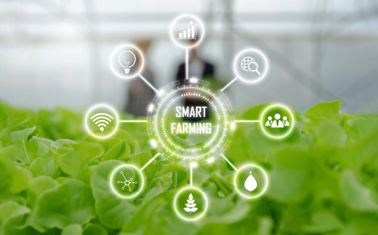 Tuyen Quang Farmers Apply Digital Technology: Building Smart Countryside