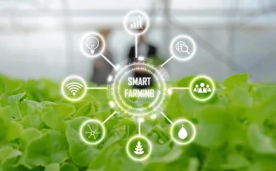 Tuyen Quang Farmers Apply Digital Technology: Building Smart Countryside