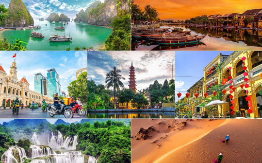 Tourism industry lacks high-quality personnel