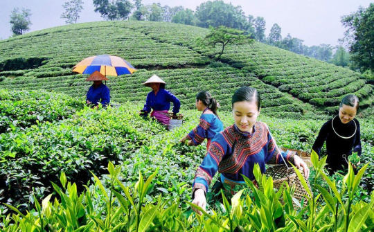 Thực hiện tốt nhất phát triển KTXH vùng đồng bào dân tộc thiểu số và miền núi
