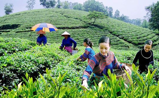 Thực hiện tốt nhất phát triển KTXH vùng đồng bào dân tộc thiểu số và miền núi
