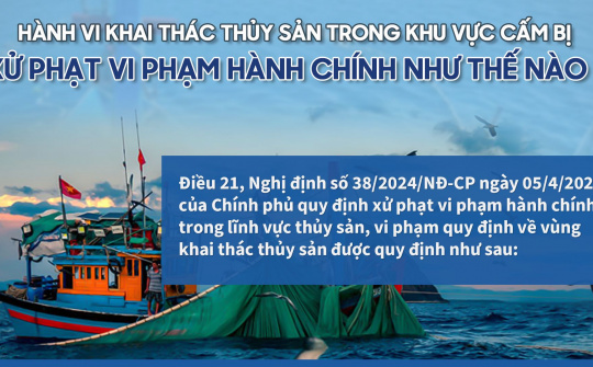 Hành vi khai thác thủy sản trong khu vực cấm bị xử phạt vi phạm hành chính như thế nào?