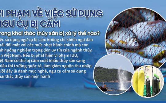Vi phạm về việc sử dụng ngư cụ bị cấm