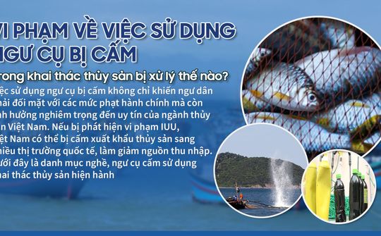 Vi phạm về việc sử dụng ngư cụ bị cấm