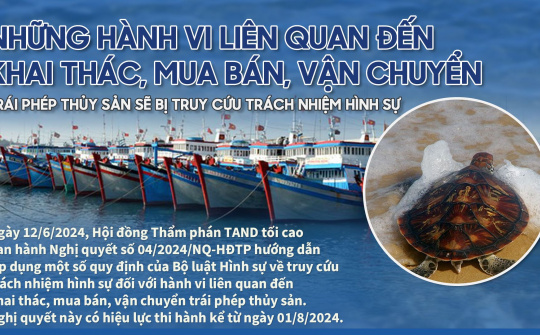 Những hành vi liên quan đến khai thác, mua bán, vận chuyển thủy sản