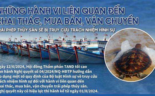 Những hành vi liên quan đến khai thác, mua bán, vận chuyển thủy sản