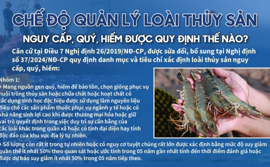 Chế độ quản lý loài thủy sản nguy cấp, quý, hiếm được quy định như thế nào?