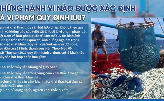 Những hành vi nào được xác định là vi phạm quy định IUU?
