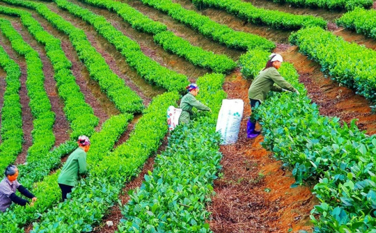 Tháo gỡ khó khăn, vướng mắc, đẩy mạnh giải ngân vốn thực hiện các chương trình mục tiêu quốc gia