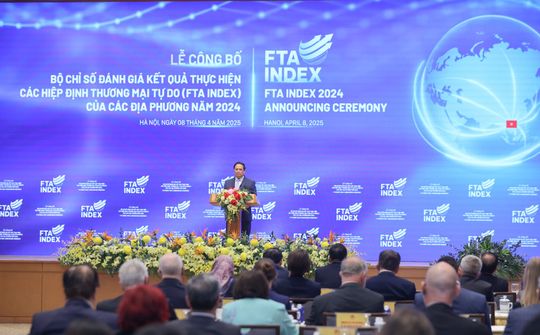 'Hội nhập không chỉ có thảm đỏ và hoa hồng'