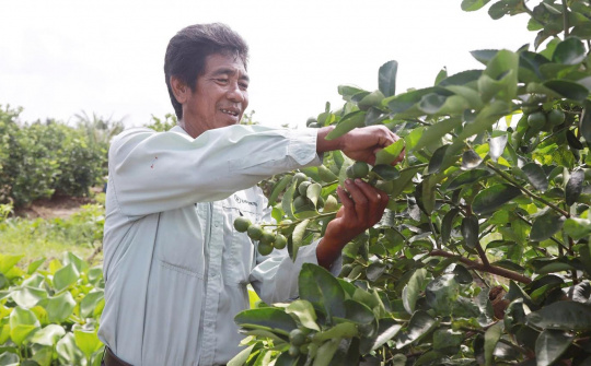 Chuyển đổi số trong nông nghiệp – Động lực phát triển bền vững tại Trà Vinh