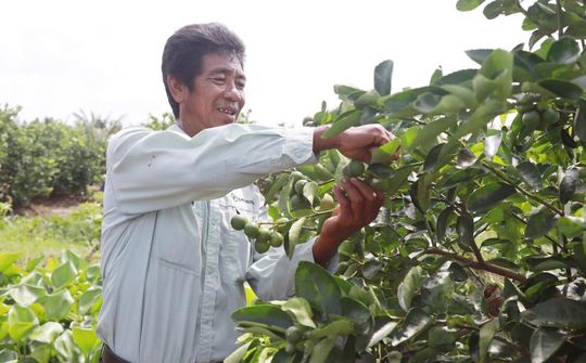 Chuyển đổi số trong nông nghiệp – Động lực phát triển bền vững tại Trà Vinh