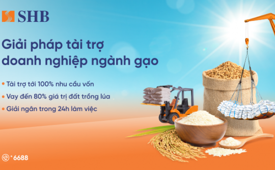 SHB tiếp sức ngành gạo, hướng đến nền nông nghiệp bền vững