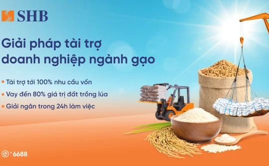 SHB tiếp sức ngành gạo, hướng đến nền nông nghiệp bền vững