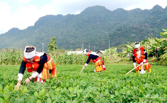 Điều chỉnh Chương trình mục tiêu quốc gia phát triển KT-XH vùng đồng bào DTTS giai đoạn I