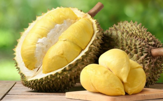 Xuất khẩu sầu riêng: Chính phủ yêu cầu phát triển bền vững