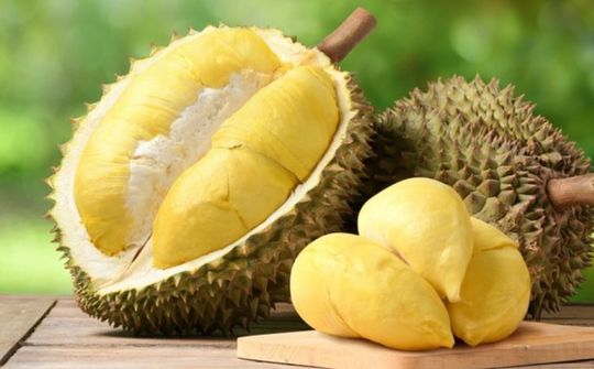 Xuất khẩu sầu riêng: Chính phủ yêu cầu phát triển bền vững
