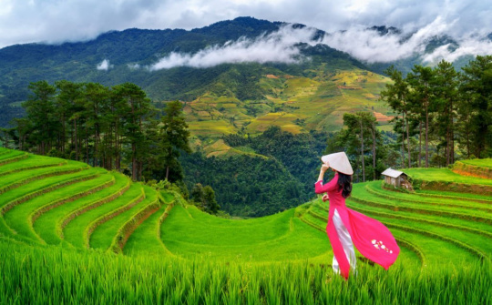 Việt Nam quê hương tôi !