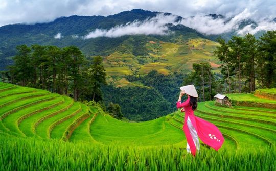 Việt Nam quê hương tôi !