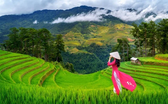 Việt Nam quê hương tôi !
