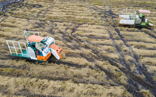 Biến rơm rạ thành 'vàng xanh': Công nghệ đột phá từ đồng ruộng