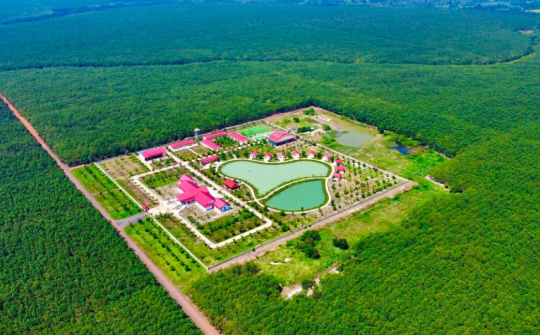 Tăng trưởng xanh ở Việt Nam và một số gợi ý chính sách