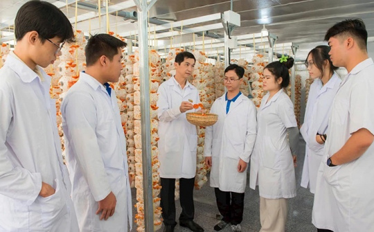 Khoa học – công nghệ và chuyển đổi số: Động lực phát triển mới tại Đồng Tháp