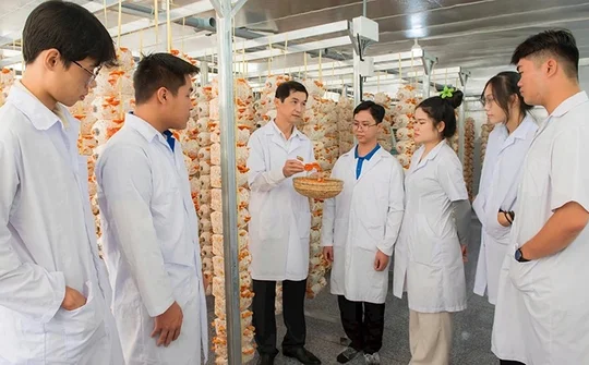 Khoa học – công nghệ và chuyển đổi số: Động lực phát triển mới tại Đồng Tháp