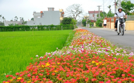 Điều chỉnh vốn ngân sách thực hiện Chương trình mục tiêu quốc gia xây dựng nông thôn mới