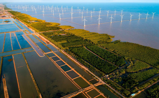 Hoàn thiện thể chế, chính sách, pháp luật về ứng phó với biến đổi khí hậu