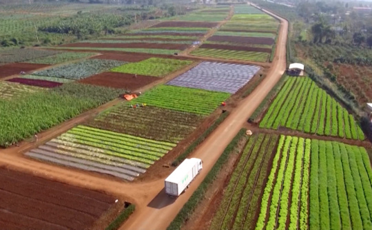 Thái Bình: Tập huấn hội nhập kinh tế quốc tế trong sản xuất nông nghiệp cho hội viên nông dân