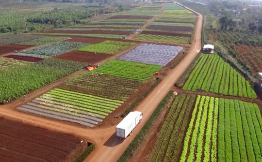 Thái Bình: Tập huấn hội nhập kinh tế quốc tế trong sản xuất nông nghiệp cho hội viên nông dân