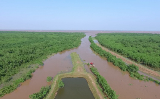 Thái Bình đẩy mạnh phát triển kinh tế biển, mở rộng không gian tăng trưởng từ biển