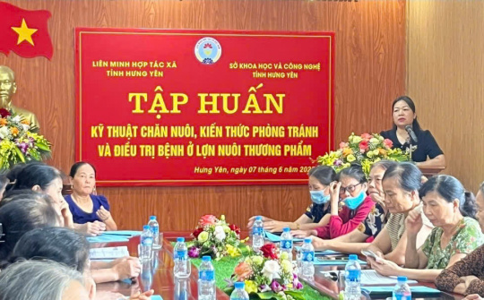 Tập huấn kỹ thuật chăn nuôi lợn thương phẩm tại Hưng Yên: Hướng đi bền vững trước thách thức dịch bệnh