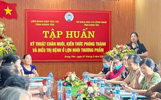 Tập huấn kỹ thuật chăn nuôi lợn thương phẩm tại Hưng Yên: Hướng đi bền vững trước thách thức dịch bệnh