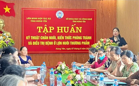 Tập huấn kỹ thuật chăn nuôi lợn thương phẩm tại Hưng Yên: Hướng đi bền vững trước thách thức dịch bệnh