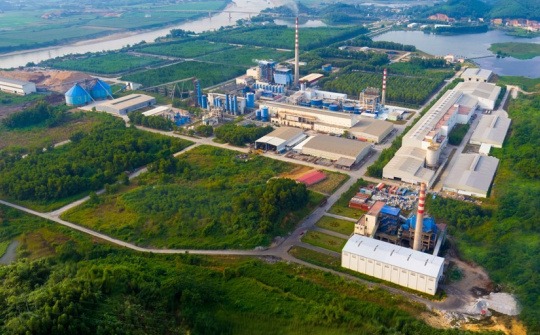 Resolute in its ambition to become a High-Tech Forestry Zone and Regional Wood Processing Hub