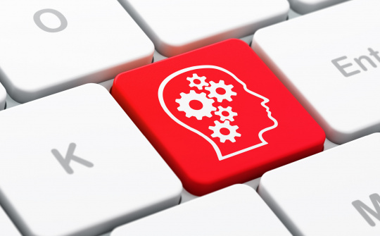 Shaping human resource management: Good practices from Asia and the Pacific