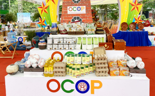 Hanoi boosts promotion of OCOP products to expand market