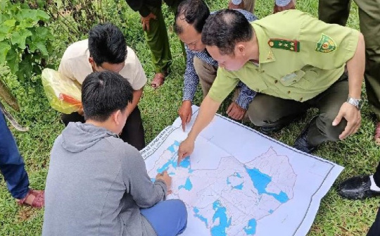 Thực hiện tốt chính sách chi trả Dịch vụ môi trường rừng là tiền đề cho hội nhập thị trường các-bon