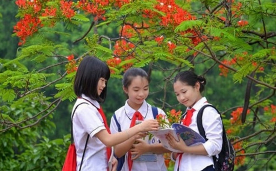 Tổ chức dạy học 2 buổi/ngày và sinh hoạt hè: Hướng đi nhằm phát triển toàn diện học sinh