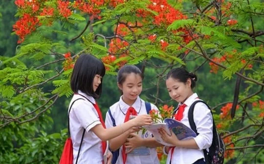 Tổ chức dạy học 2 buổi/ngày và sinh hoạt hè: Hướng đi nhằm phát triển toàn diện học sinh