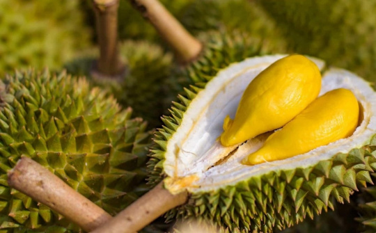 Đại sứ Phạm Thanh Bình: Đưa nông sản Việt rộng đường vào thị trường tỷ dân