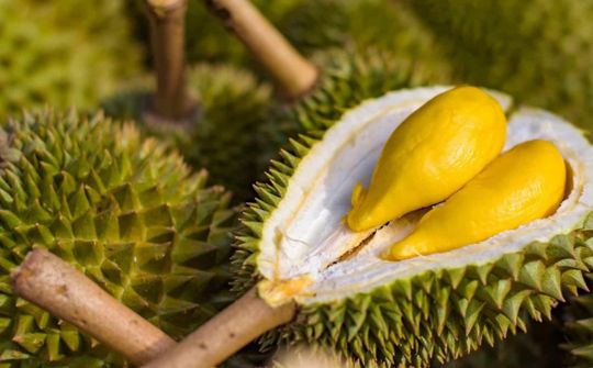 Đại sứ Phạm Thanh Bình: Đưa nông sản Việt rộng đường vào thị trường tỷ dân