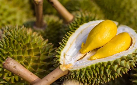 Đại sứ Phạm Thanh Bình: Đưa nông sản Việt rộng đường vào thị trường tỷ dân