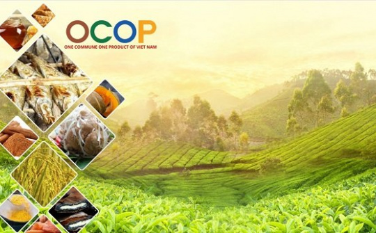 OCOP Việt Nam: Nền tảng chiến lược cho nông nghiệp bền vững và hội nhập toàn cầu