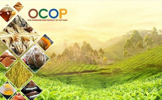 OCOP Việt Nam: Nền tảng chiến lược cho nông nghiệp bền vững và hội nhập toàn cầu