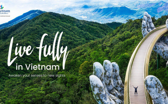 Phát triển ngành quảng cáo trong chiến lược Công nghiệp Văn hóa Việt Nam