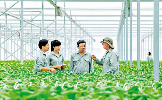 Nâng cao hiệu quả tín dụng chính sách xã hội