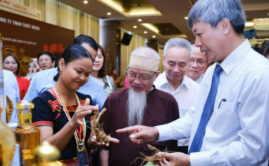 Quang Nam positioned as medicinal plant hub